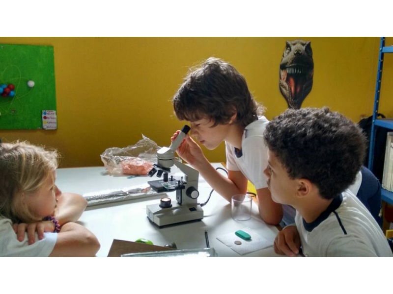 ENSINO INFANTIL E FUNDAMENTAL EM PETROPOLIS - FAVO DE MEL