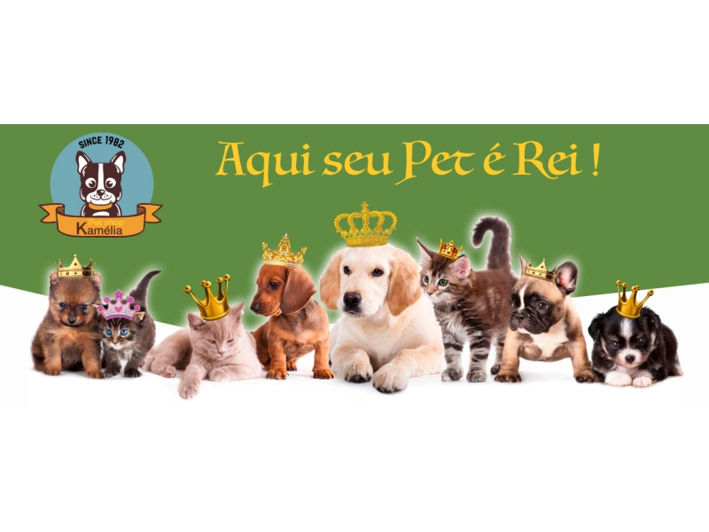 PET SHOP NO JARDIM MORUMBI EM SÃO PAULO