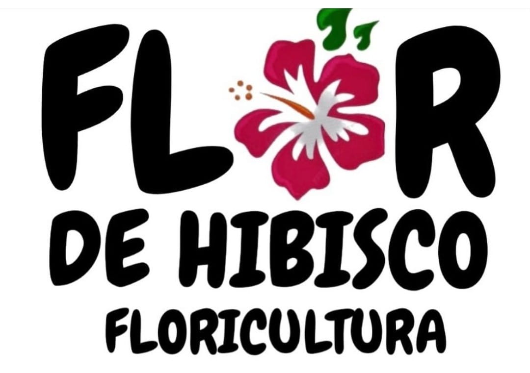 FLOR DE HIBISCO FLORICULTURA