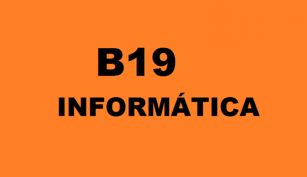 B19 Informática