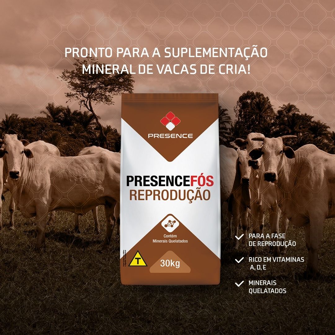 PRODUTOS AGROPECUÁRIOS EM ALTO PARAÍSO - RO