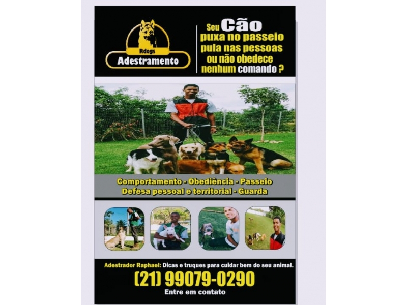 Adestrador de Cães em Gramacho Duque de Caxias - RJ 