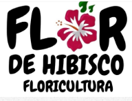 HIBISCO